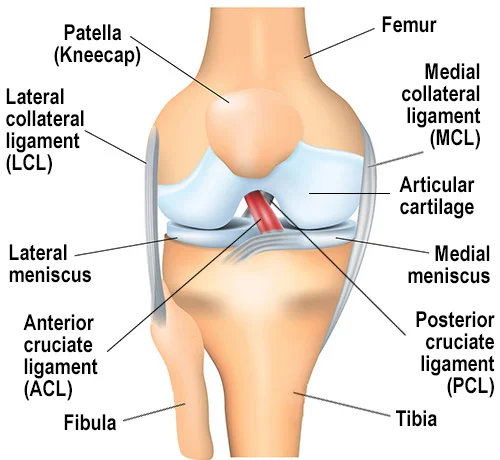 ACL Reconstruction Surgery