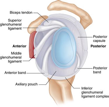 Recurrent Shoulder Dislocation Treatment by Dr. Jigar Desai